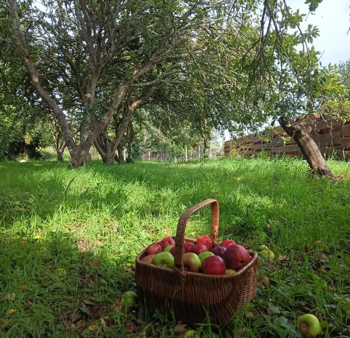 Villa La Ferme de Penanguer Loctudy Сasa de vacaciones